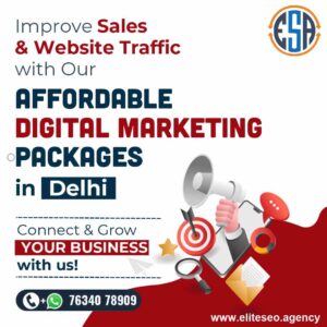 Affordable Digital Marketing Package in Delhi