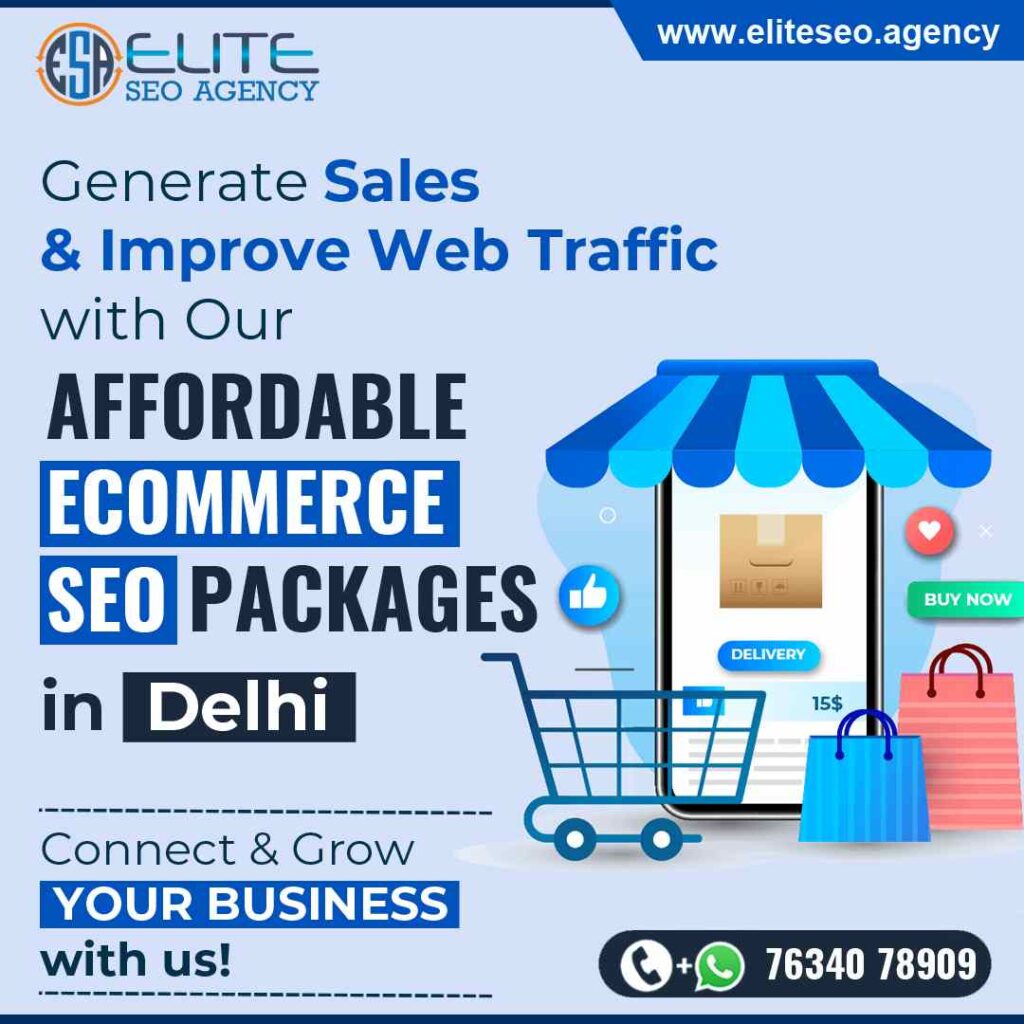 Affordable Ecommerce SEO Package in Delhi