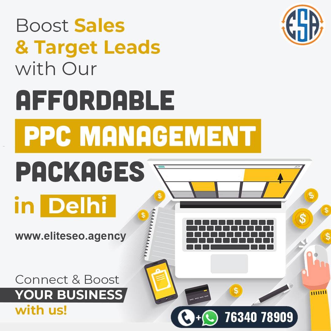 Affordable PPC Management Packages in Delhi