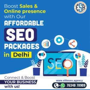 Affordable SEO Package in Delhi