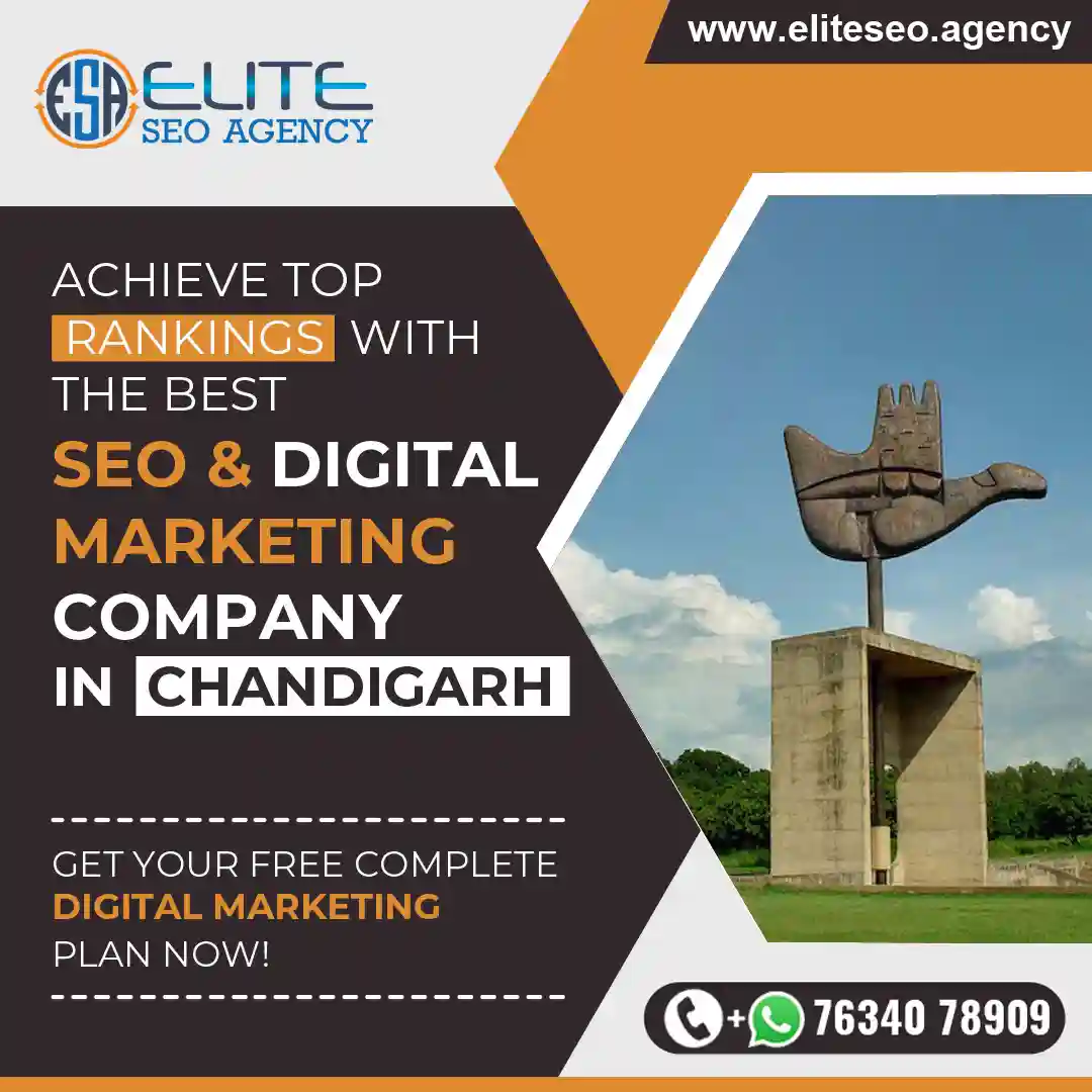 SEO & Digital Marketing Company in Chandigarh